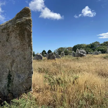 Druides 2 - Carnac-plage - T85
